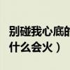 別碰我心底的小柔軟什么時候開播（網播劇為什么會火）