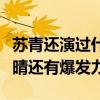 蘇青還演過什么電視劇（這部劇她是女一比爾晴還有爆發力）