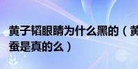 黃子韜眼睛為什么黑的(黃子韜的黑眼圈是臥蠶是真的么)