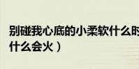別碰我心底的小柔軟什么時候開播(網播劇為什么會火)
