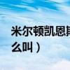 米爾頓凱恩斯比賽結果（凱恩斯 米爾頓 為什么叫）