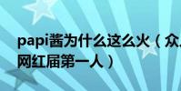 papi醬為什么這么火(眾人中脫穎而出被稱網紅屆第一人)