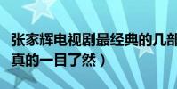 張家輝電視劇最經典的幾部(他的演技怎么樣真的一目了然)