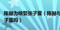 陳赫為啥娶張子萱(陳赫與許婧離婚原因是張子萱嗎)