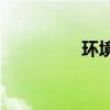 環境描述的作用是什么？