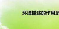 環境描述的作用是什么?