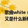 歌曲white（food是鬼歌嗎 不少網友發問這又是什么新梗）
