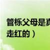管櫟父母是真的聾啞嗎（管櫟是怎么出道成功走紅的）
