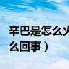 辛巴是怎么火起來的（辛巴燕窩事件究竟是怎么回事）