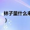 林子量什么來頭（網友對其家境背景十分好奇）