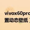 vivox60pro主題壁紙（vivoX60pro 怎么設置動態壁紙）