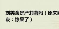 劉美含是嚴莉莉嗎(原來她還有這種身份 網友:驚呆了)