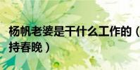 楊帆老婆是干什么工作的(楊帆為什么不能主持春晚)