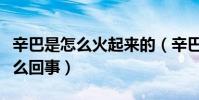 辛巴是怎么火起來的(辛巴燕窩事件究竟是怎么回事)