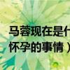 馬蓉現在是什么狀況（為什么馬蓉蹭熱度否認懷孕的事情）