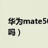 華為mate50會有嗎（華為mate50支持高刷嗎）