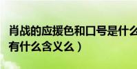肖戰的應援色和口號是什么(他的粉絲小飛俠有什么含義么)