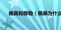 佩佩和穆勒(佩佩為什么用頭撞穆勒)