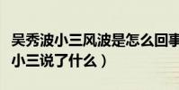吳秀波小三風波是怎么回事(吳秀波妻子談起小三說了什么)