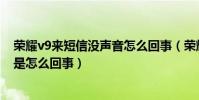 榮耀v9來短信沒聲音怎么回事(榮耀6Plus收到短信無聲音是怎么回事)