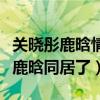 關曉彤鹿晗情侶衛衣是怎么回事（網曝關曉彤鹿晗同居了）