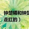 鐘楚曦和鐘楚紅有關系嗎（鐘楚曦是怎么成功走紅的）