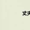 丈夫的王冠有什么用法？
