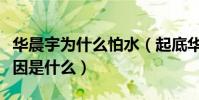 華晨宇為什么怕水(起底華晨宇怕水的真正原因是什么)