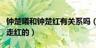 鐘楚曦和鐘楚紅有關系嗎(鐘楚曦是怎么成功走紅的)