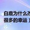白鹿為什么改名（白鹿這個名字為白夢妍帶來很多的幸運）