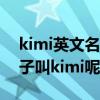 kimi英文名什么意思（為什么林志穎的大兒子叫kimi呢）