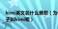 kimi英文名什么意思(為什么林志穎的大兒子叫kimi呢)
