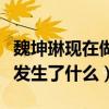 魏坤琳現在做什么呢（魏坤琳與桑潔之間究竟發生了什么）