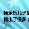 楊樂樂兒子是試管嗎（汪涵夫妻兩人對小沐沐復出了很多）