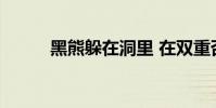 黑熊躲在洞里 在雙重否定中冬眠