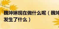 魏坤琳現在做什么呢(魏坤琳與桑潔之間究竟發生了什么)