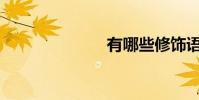 有哪些修飾語?