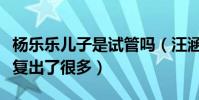 楊樂樂兒子是試管嗎(汪涵夫妻兩人對小沐沐復出了很多)