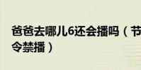爸爸去哪兒6還會播嗎(節目有可能因為禁童令禁播)