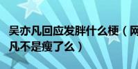 吳亦凡回應發胖什么梗(網友調侃現在的吳亦凡不是瘦了么)