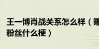 王一博肖戰關系怎么樣(曝王一博起訴肖戰的粉絲什么梗)