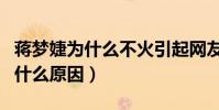 蔣夢婕為什么不火引起網友熱議(到底是因為什么原因)