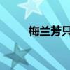 梅蘭芳只能把胡子改成雙無否定句