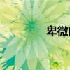 卑微的碑文告訴我們什么？