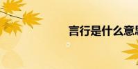 言行是什么意思?