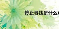 停止尋找是什么意思?