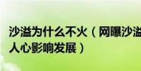 沙溢為什么不火(網曝沙溢白展堂的角色深入人心影響發展)