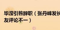 畢瀅引咎辭職(張丹峰發長文澄清此前種種網友評論不一)