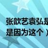 張歆藝袁弘是怎么在一起的引網友熱議（原來是因為這個）