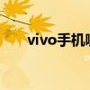 vivo手機哪款好用性價比高（VIVO）